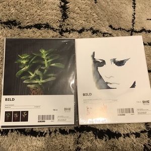 5 IKEA Bild prints 7.75”x9.75 - succulent, watercolor